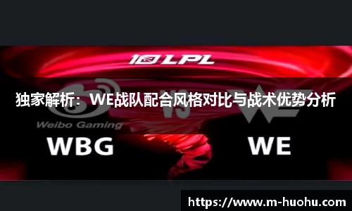 独家解析：WE战队配合风格对比与战术优势分析